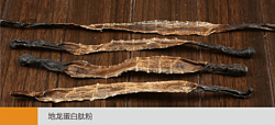 地龙蛋白肽粉