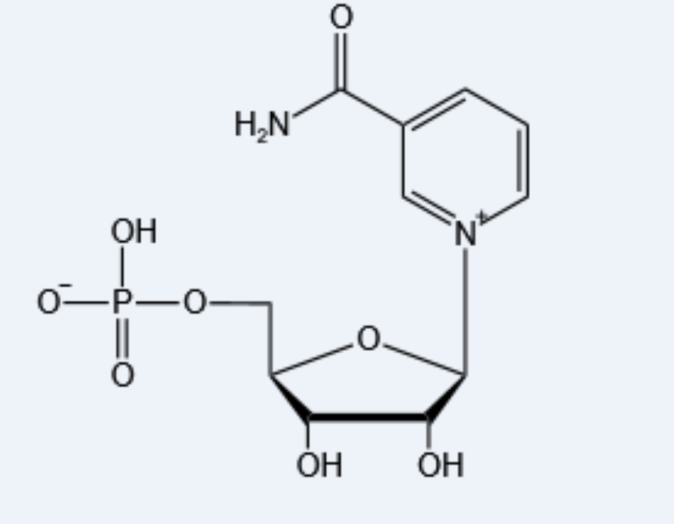 烟酰胺腺嘌呤单核苷酸-β-Nicotinamide mononucleotide