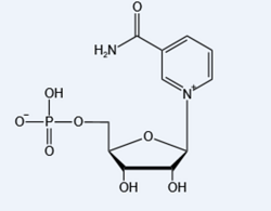 烟酰胺腺嘌呤单核苷酸-β-Nicotinamide mononucleotide