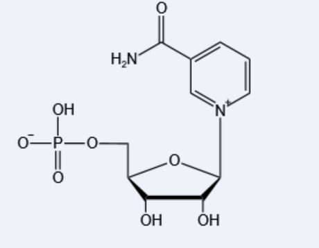 烟酰胺腺嘌呤单核苷酸-β-Nicotinamide mononucleotide