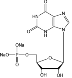 5'-黃苷酸二鈉-Xanthosine 5'-monophosphate sodium salt