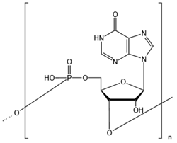聚肌苷酸钠盐