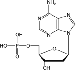 2’-脱氧腺苷-5’-单磷酸-2’-Deoxyadenosine 5’-monophosphate