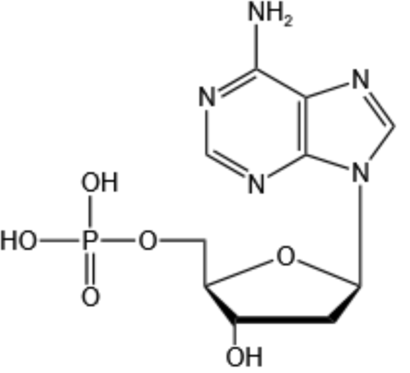 2’-脱氧腺苷-5’-单磷酸-2’-Deoxyadenosine 5’-monophosphate