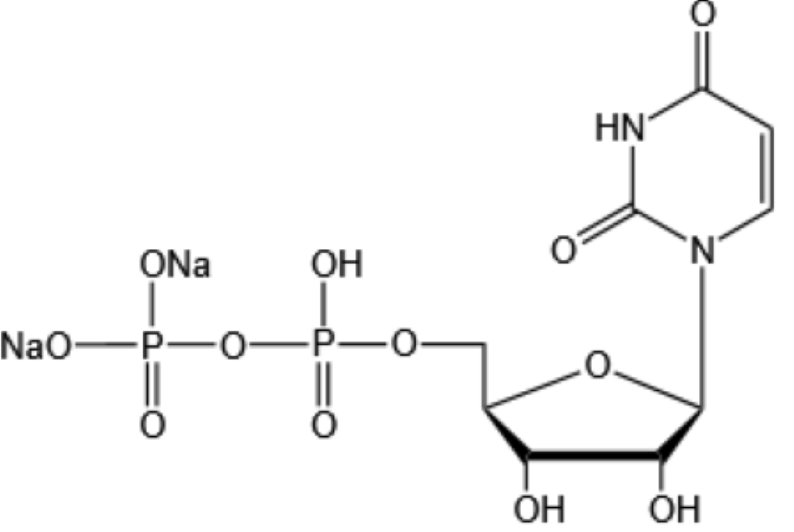 二磷酸尿苷二钠-Uridine 5’-diphosphate disodium salt