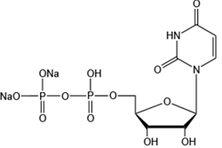 二磷酸尿苷二钠-Uridine 5’-diphosphate disodium salt
