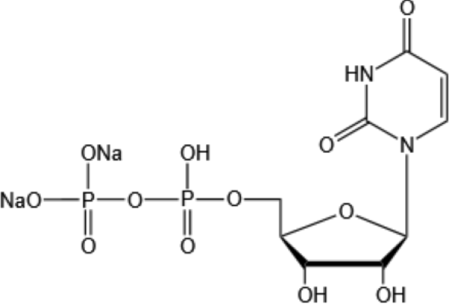 二磷酸尿苷二钠-Uridine 5’-diphosphate disodium salt