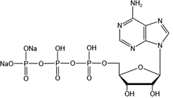 三磷酸腺苷二鈉