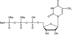 2’-脫氧胸苷5’-三磷酸三鈉鹽
