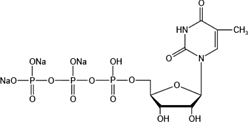 2’-脱氧胸苷5’-三磷酸三钠盐