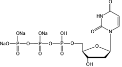 2’-脫氧尿苷5’-三磷酸三鈉鹽