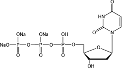2’-脱氧尿苷5’-三磷酸三钠盐