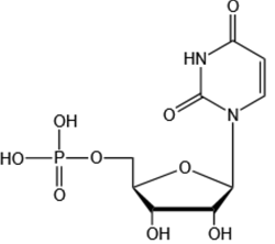 5'-尿苷酸-Uridine 5'-monophosphate