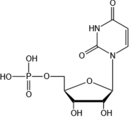 5'-尿苷酸-Uridine 5'-monophosphate