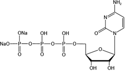 三磷酸胞苷二鈉
