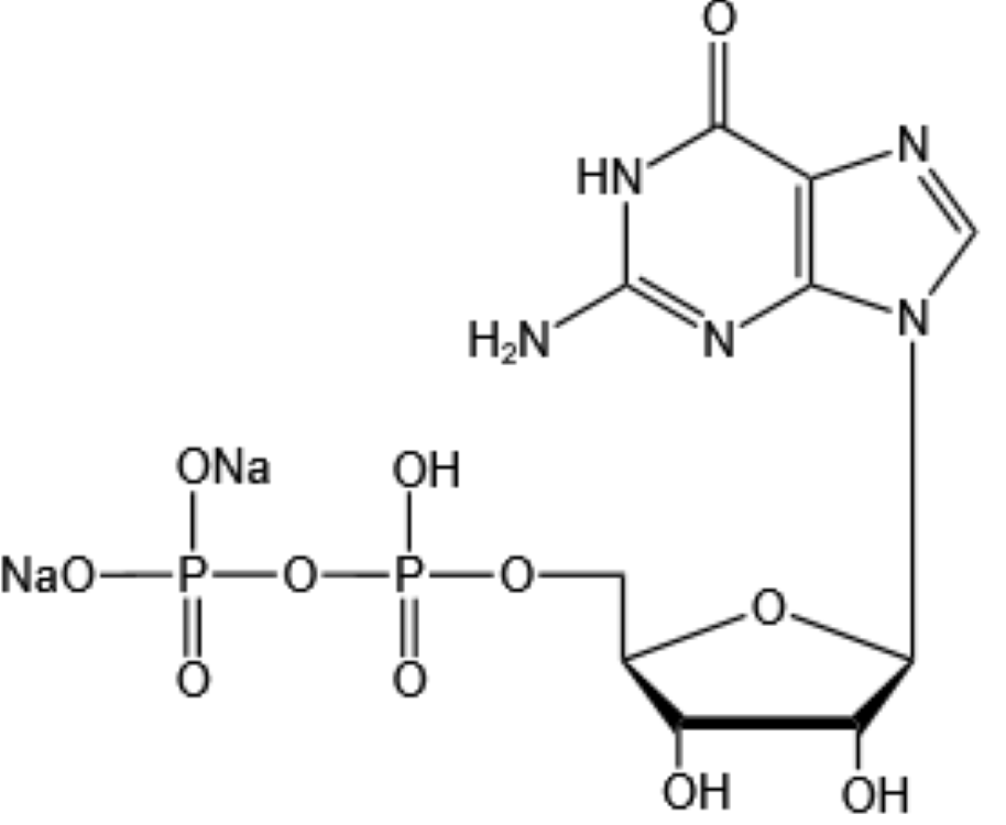 二磷酸鳥苷二鈉-Guanosine 5’-diphosphate disodium salt