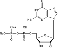 二磷酸鳥苷二鈉-Guanosine 5’-diphosphate disodium salt