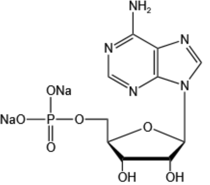 5'-腺苷酸二鈉-Adenosine 5'-monophosphate disodium salt