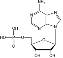 5'-腺苷酸-Adenosine 5'-monophosphate