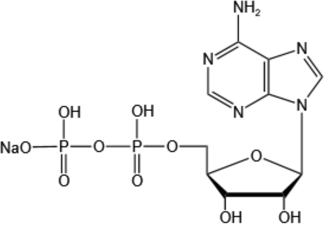 5'-腺苷酸一鈉Adenosine 5'-monophosphate monosodium salt