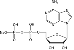 5'-腺苷酸一鈉Adenosine 5'-monophosphate monosodium salt