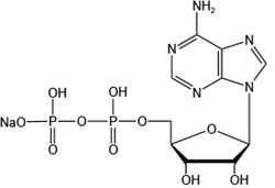 5'-腺苷酸一钠Adenosine 5'-monophosphate monosodium salt