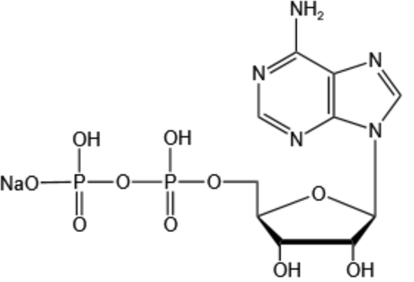 5'-腺苷酸一钠Adenosine 5'-monophosphate monosodium salt