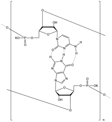 聚肌胞钾盐