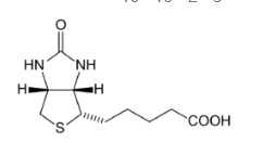 1%生物素