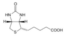 生物素