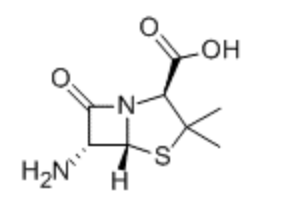 6-氨基青霉烷酸(6-APA)