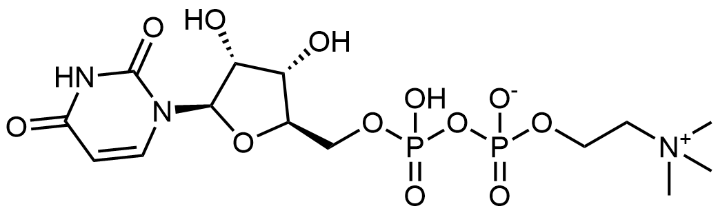 尿苷二磷酸膽堿