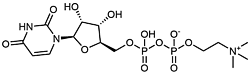 尿苷二磷酸胆碱