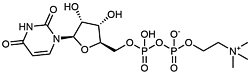 尿苷二磷酸膽堿