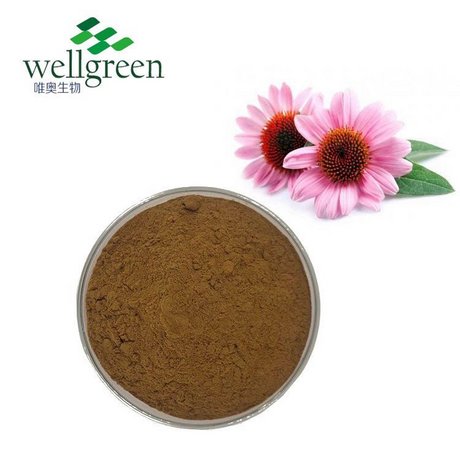 紫锥菊提取物 菊苣酸1% 天然植物提取 全水溶 唯奥生物