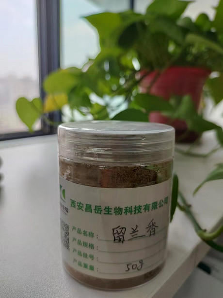 留兰香提取物