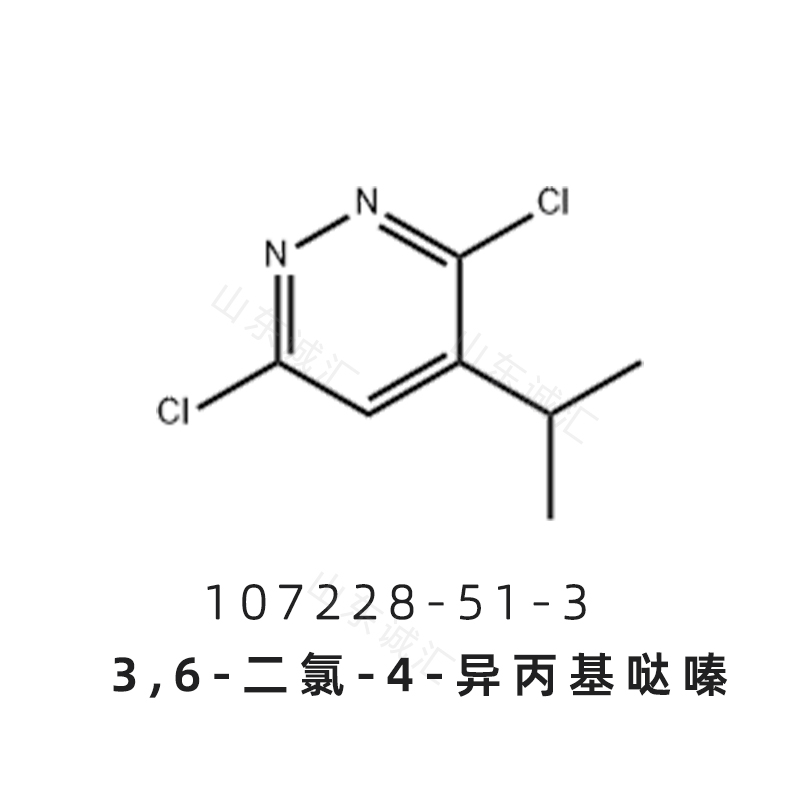 3,6-dichloro-4-isopropylpyridazine3,6-二氯-4-异丙基哒嗪107228-51-3