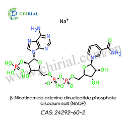 β-煙酰胺腺嘌呤二核苷酸磷 酸二鈉鹽（NADP)