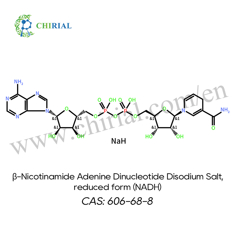 β-烟酰胺腺嘌呤二核苷酸二钠盐（NADH）