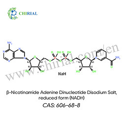 β-烟酰胺腺嘌呤二核苷酸二钠盐（NADH）