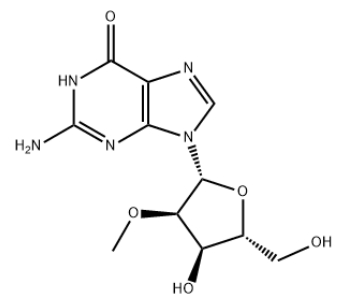 2'-甲氧基鸟苷