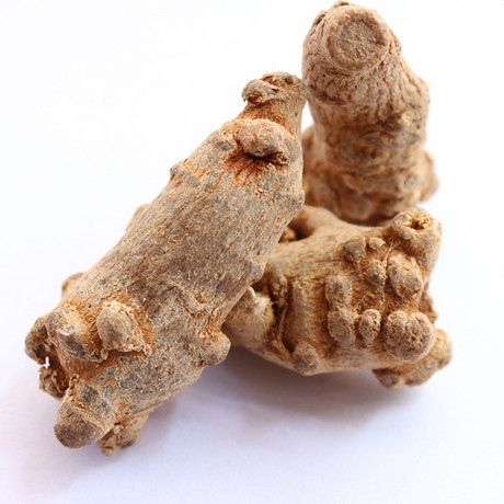 三七提取物