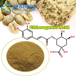 綠咖啡豆提取物，綠咖啡豆綠原酸，綠原酸