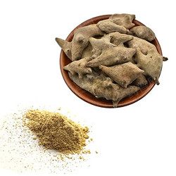 五倍子提取物，單寧酸，五倍子單寧酸