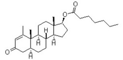 17β-羟基-1-甲基-5α-雄甾-1-烯-3-酮-17-庚酸酯