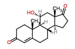 11α-羥基雄烯二酮