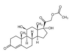 醋酸氢化可的松