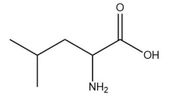 亮氨酸