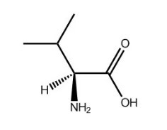 缬氨酸