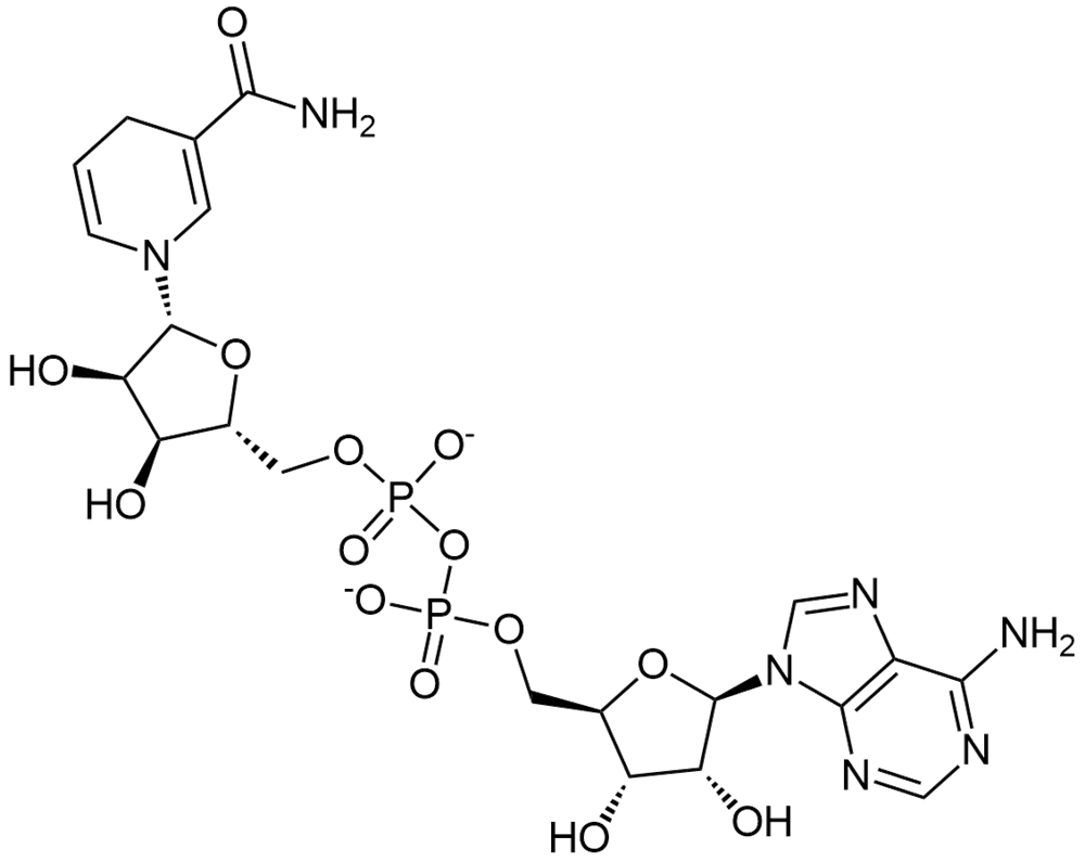NADH 还原型烟酰胺腺嘌呤二核苷酸二钠盐   还原型辅酶I CAS 606-68-8
